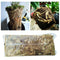 12L Natural Dry Sphagnum Moss Orchids for Potted Plants