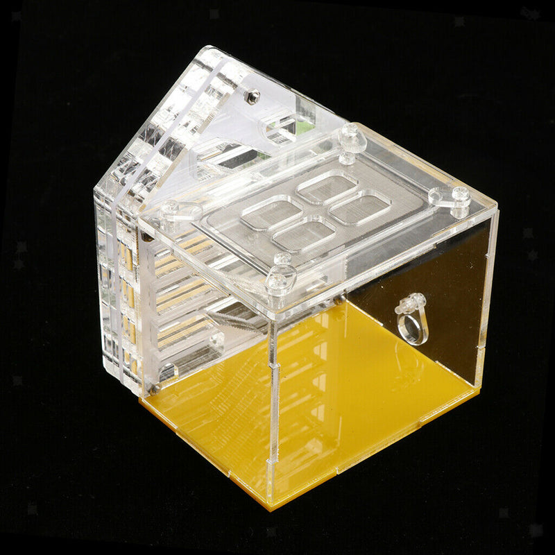 Formicarium Acrylic Transparent Feeding Breeding Box - Allows Study of