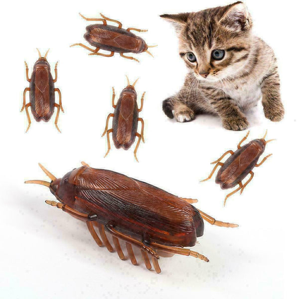 Dog Cat Interactive Electronic Cockroach Intelligence Training Pet Activity Q3Q4