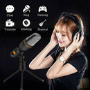 Professional Condenser Sound Podcast Studio Microphone For PC MSN Skype Zoo Bj