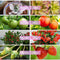 40W LED Grow Light 120LEDs Hydroponic Lamp Plants Flowers Indoor LED Growth