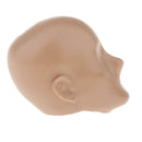 1/6 Scale Plastic Mannequins Head Sculpture Modes for 12inch Action Figures