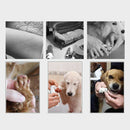 Professional Pet Dog Cat Nail Trimmer Grooming Tool Grinder Clipper USB