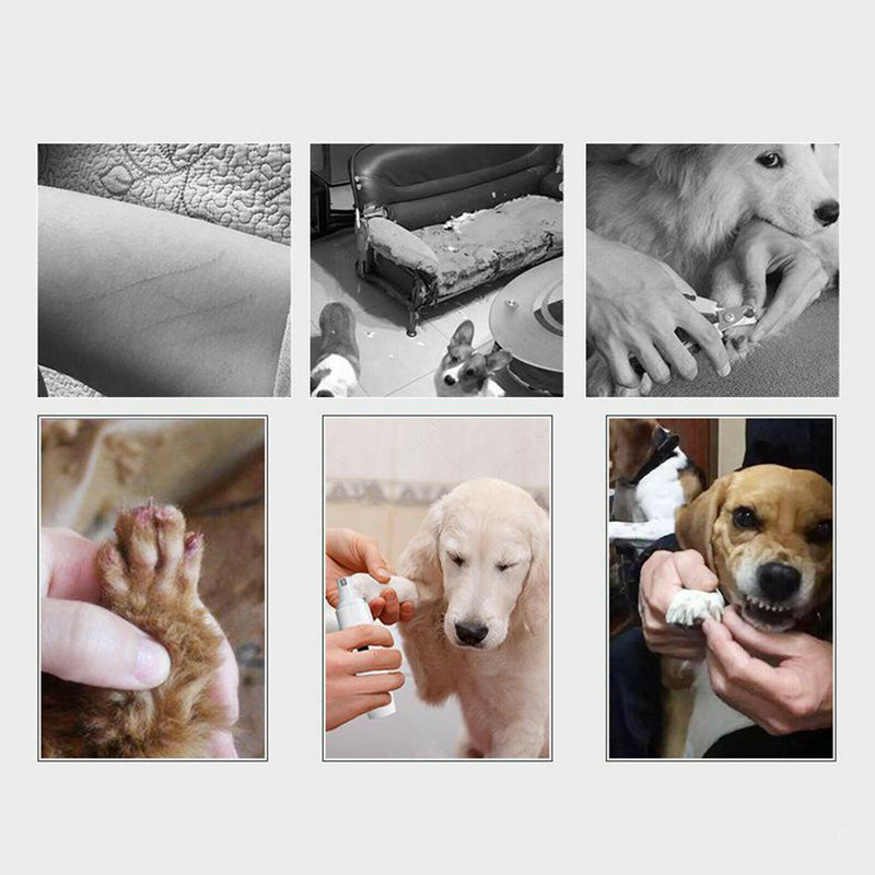 Professional Pet Dog Cat Nail Trimmer Grooming Tool Grinder Clipper USB