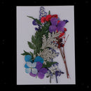 Multi Kinds of Natural Press Dried Flowers Pressed Leaves 5-30mm in Width for