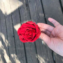 Eternal Roses Heads,Real Natural Fresh Preserved Rose,Beauty And The Beast  N4J3