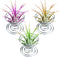 12 Pieces Air Plant Holder Air Plant Tabletop Container Stainless Steel Wir