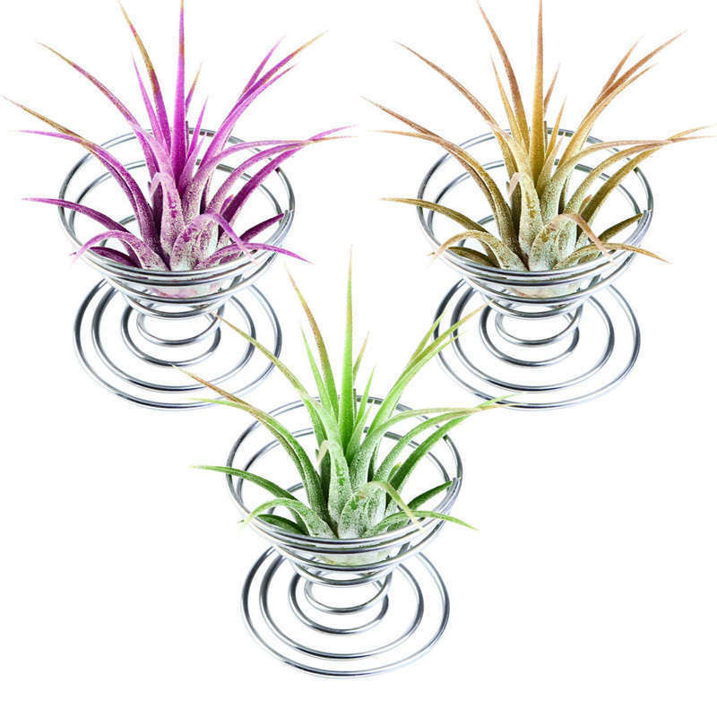 12 Pieces Air Plant Holder Air Plant Tabletop Container Stainless Steel Wir