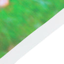 Flower Digital Photography Background Cloth Wedding Photo Backdrops Decor
