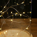 Battery Operated LED Lights Glass Cloche Table Lamp Fairy Lights Crafts C