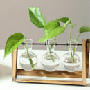 Plant Terrarium with Wooden Stand Glass Vase Holder for Home Decoration,Sci