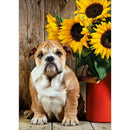 5D DIY Full Drill Diamond Painting Dog Cross Stitch Embroidery Mosaic Craft