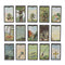 36Pcs/box Lenormand Oracle Cards English Version Board Game Tarot Deck CardS Ew