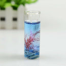 Random Multicolor Sea Ocean Shells Candles Jelly Aromatherapy .Romantic  uops