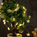 Waterproof LED Star Copper Wire String Light Fairy Xmas Lamp Wedding Party  I2T6