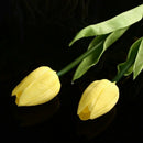 20pcs Tulip Flower Latex Real Touch For Wedding Decor Flower Best Quality K E5X7
