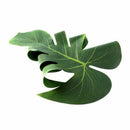12 pcs Table Flag Tropical Palm Leaf Emulation Leaf Hawaii Themed Party Wed G9C9