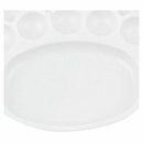 Student Watercolor Palette of Plastic White Plate
