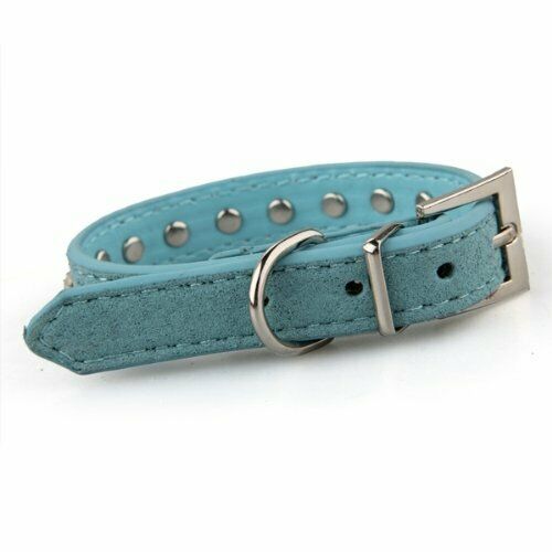 Blue PU Leather Dogs Cats Pets Puppy Neck Safety Collars XS