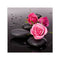 5D Rose DIY Diamond Painting Cross Stitch Needlework Home Decor Craft
