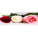 5D DIY Full Drill Diamond Painting Flowers Cross Stitch Embroidery Mosaic