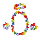 Colorful Hawaiian Tropical Theme Party Hula Luau Grass Dancer Skirt and Bra