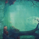 Fairy Tale Photography Backdrops Halloween Wood Floor Photo Backdrop Moon G
