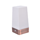 Great Motion Sensor Bedroom Night Light Battery Powered LED Table Lamp