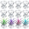 12 Pieces Air Plant Holder Air Plant Tabletop Container Stainless Steel Wir