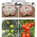 LED Grow light Full Spectrum Indoor Plant lamp T5 Tube Bulb Light For Plants: Cy
