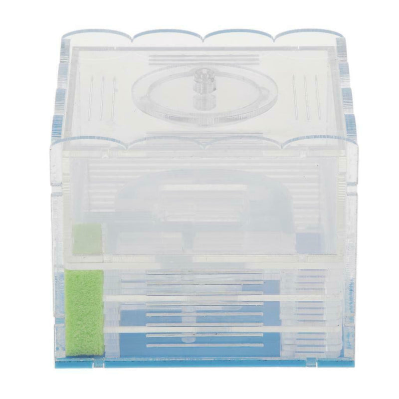 Clear Ant Feeding Nursery Box Ant Farm House Castle Insect Terrarium  L