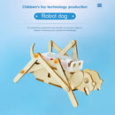 Physics Experiment Equipment DIY Materials School Project Educational Kits Gift