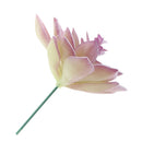 Artificial Succulent Vivid Flocking Plants Home Office Floral Decor Crafts