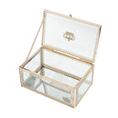 Vanity Clear Makeup Organizer Boxes Flower Holder Planter for Jewelry