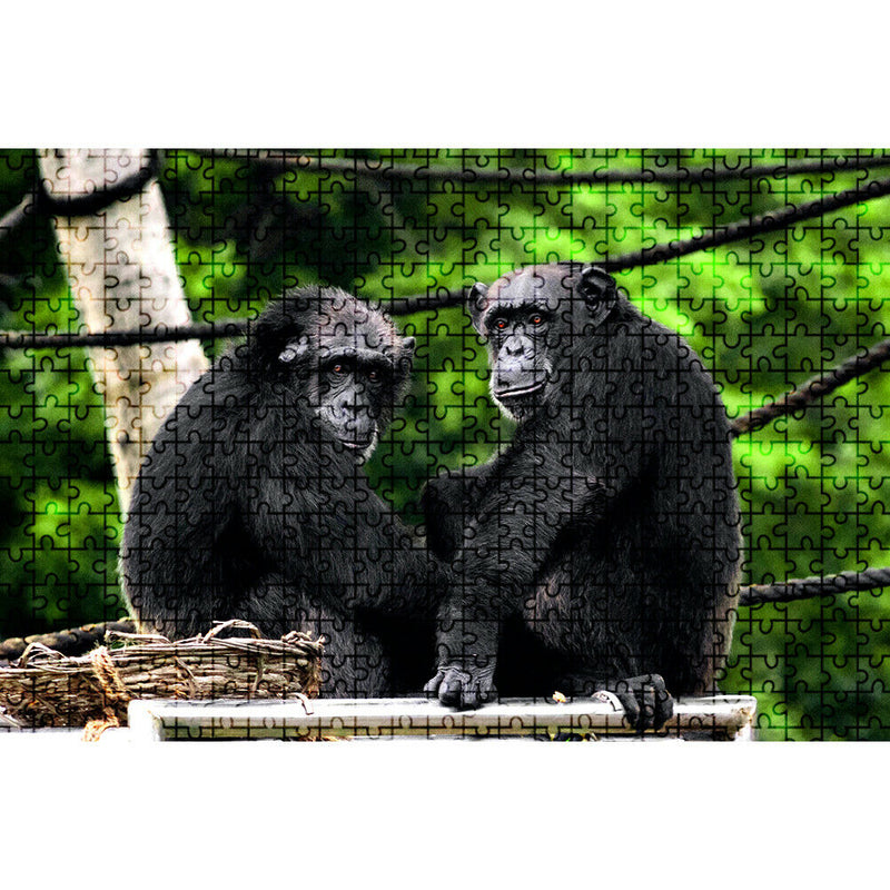 75 X 50cm 1000 Pieces Paper Jigsaw Puzzles Gorilla Assembling Picture Kit