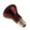 2Pcs Reptile UVA Infrared Heating Light Nightlight Daylight Bulb 50W & 100W