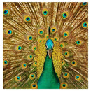 Full Drill Diamond Peacock Painting DIY Mosaic Cross Stitch Bedroom Decor