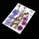 1 Set Assorted Pressed Dried Flowers Card Scrapbooking Phone Cover Crafts