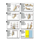 Aquarium Background Backdrop Fish Tank Reptile Vivarium Waterfall  122x46cm