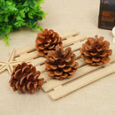 4Pcs Natural pine cones 2-3cm size quality pinecone florists crafts decorative U