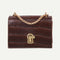 Elegant Women Pure Mini Shoulder Bags Leather Chain Messenger Bag (Brown)