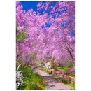 5D DIY Full Drill Diamond Painting Flowers Tree Path Cross Stitch Mosaic