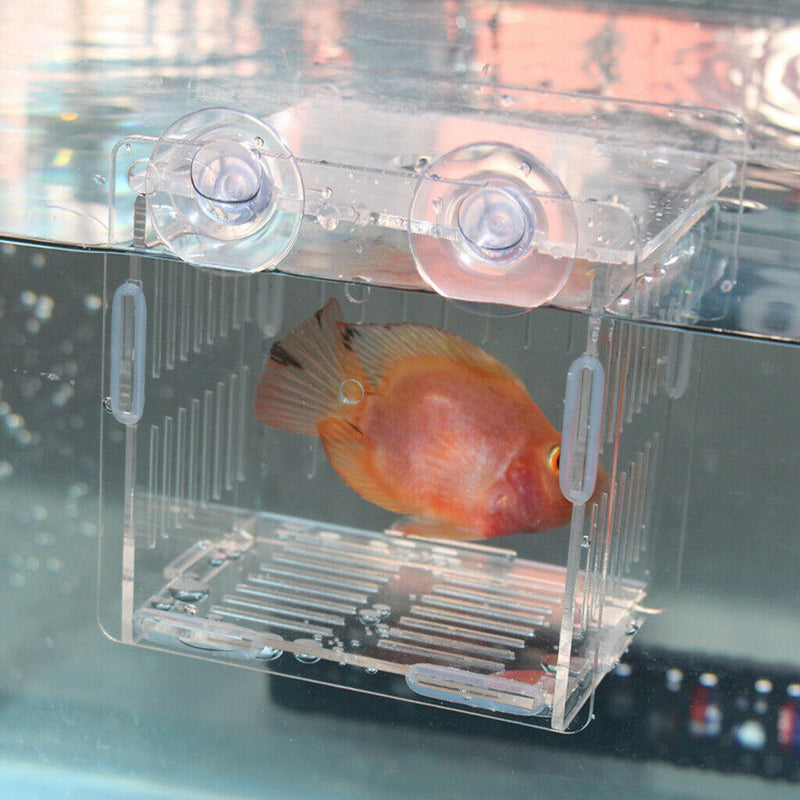 Aquarium Fish Tank Plastic Floating Isolation Divider Breeding Box Transparent