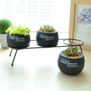Set Of 3 Cement Succulent Planter Pots Round Flower Pot Black Flower Plante