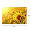 Sunflower 5D Round Full Drill Diamond Painting DIY Needlework Cross Stitch