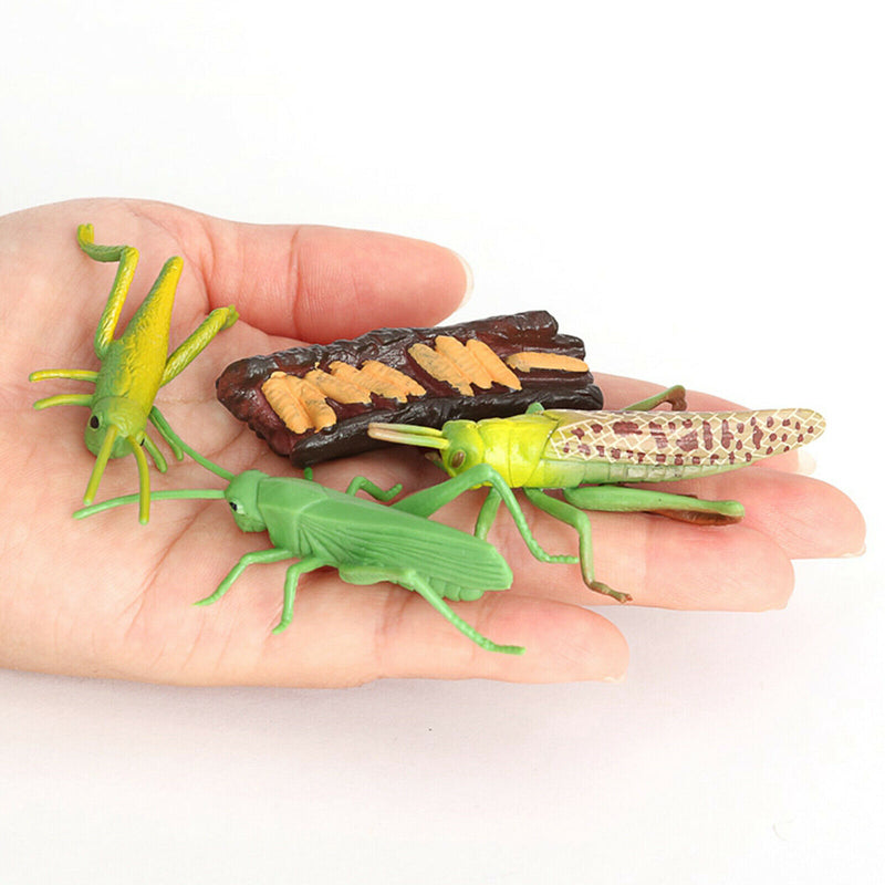 Simulation Nature Grasshopper Growth Pre-school Cognitive Toys Themed Party