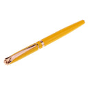 2pcs Metal Fountain Ink Pen Writing Pen Fine Nib for Calligraphy Stationery
