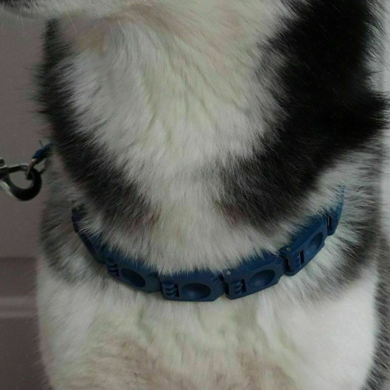 Pro Don Sullivan Perfect Dog Command Training Collar Prong Pets Choke