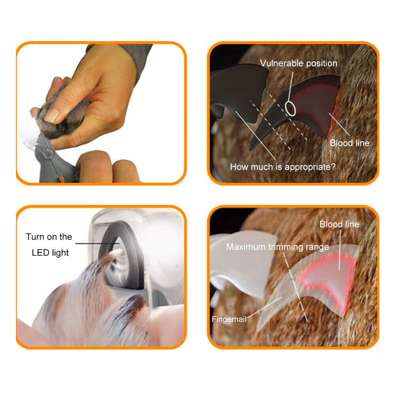 Electronic Pet Dog Nail Clippers with LED Light Toe Nail Grooming Scissors A