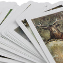 Magic Wild Wood Tarot Cards Deck Edition Mysterious Tarot Board Game 78 Card OZ